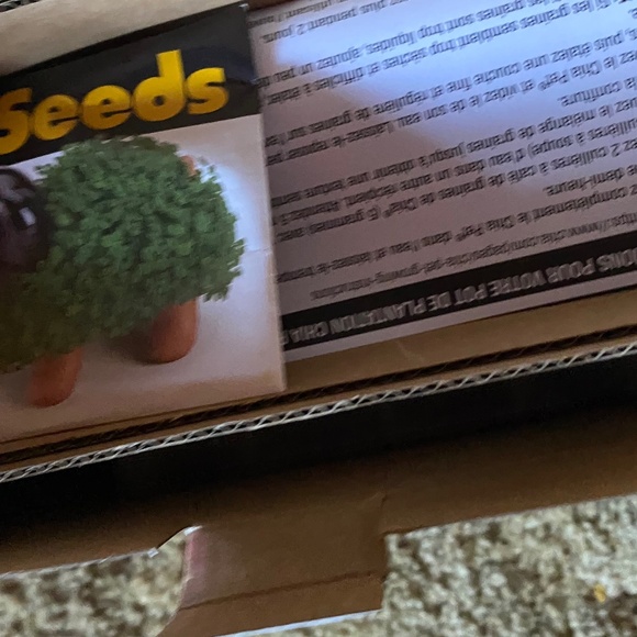 chia pet hedgehog new in box - Picture 2 of 2